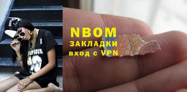 крисы Надым