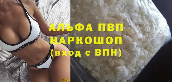 крисы Надым