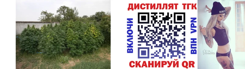 ТГК жижа Ликино-Дулёво