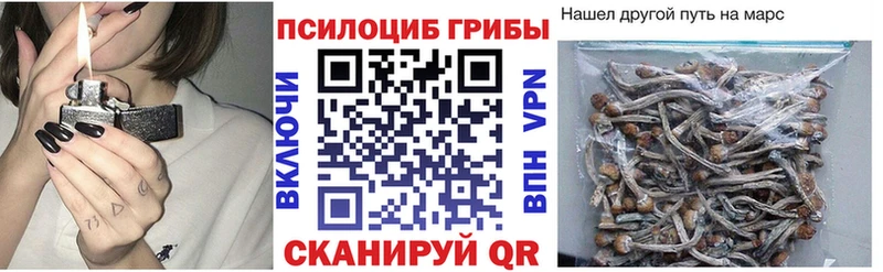 Галлюциногенные грибы прущие грибы  Ликино-Дулёво 